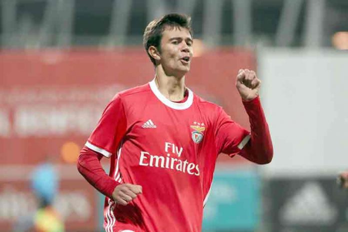 henrique-araujo2